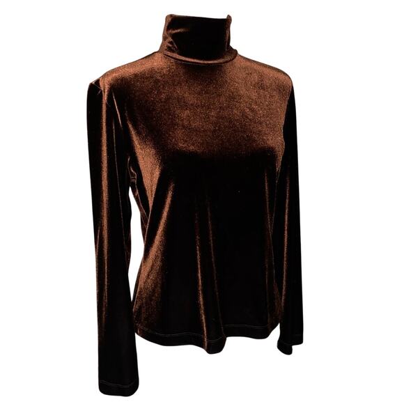 Women's Blouse Velvet Velour Chocolate Brown Top Long Sleeve Holiday Earth Tone - Picture 2 of 10
